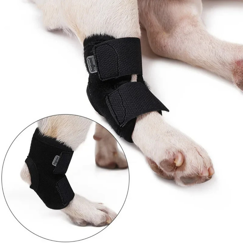 Cinta Suporte para Articulação e Joelho de Cachorros com Dificuldade de Caminhar