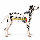 Cadeira de Rodas Ajustável para Cães – Suporte e Mobilidade para Patas Traseiras