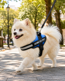 Peitoral Para Cachorros Ajustável com Nome Personalizável