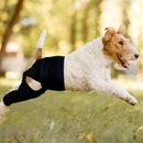 Cinta Suporte Patas Traseiras para Cachorros com Lesões Artrite Dificuldade de Andar