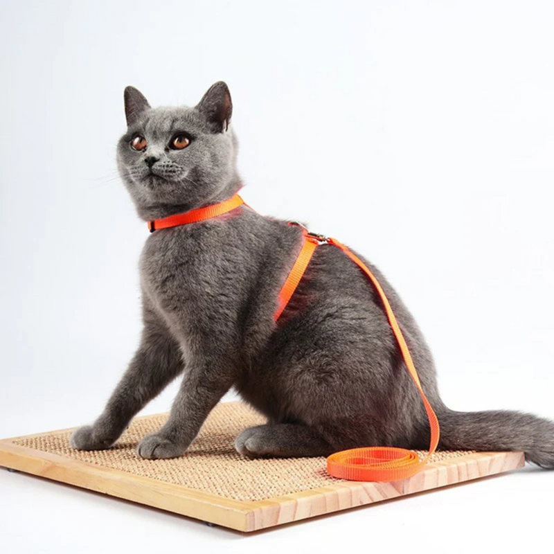 Coleira Peitoral para Gato Ajustável com Guia