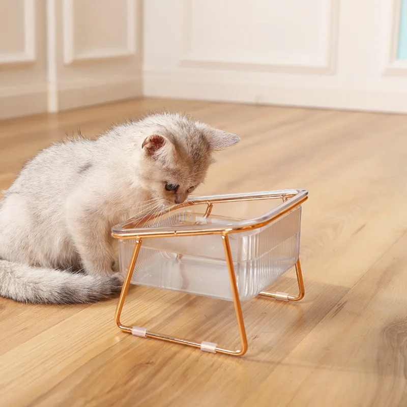 Conjunto Bebedouro e Comedouro de Acrílico para Cães e Gatos