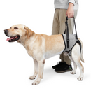 Suporte Auxiliar Sling para Cães com Dificuldade de Andar Displasia Deficiência
