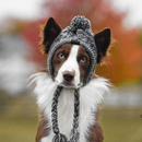 Gorro Chapéu Agasalho de Inverno Pet Capuz para Cachorros
