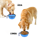 Comedouro Bebedouro Retrátil para Cães e Gatos