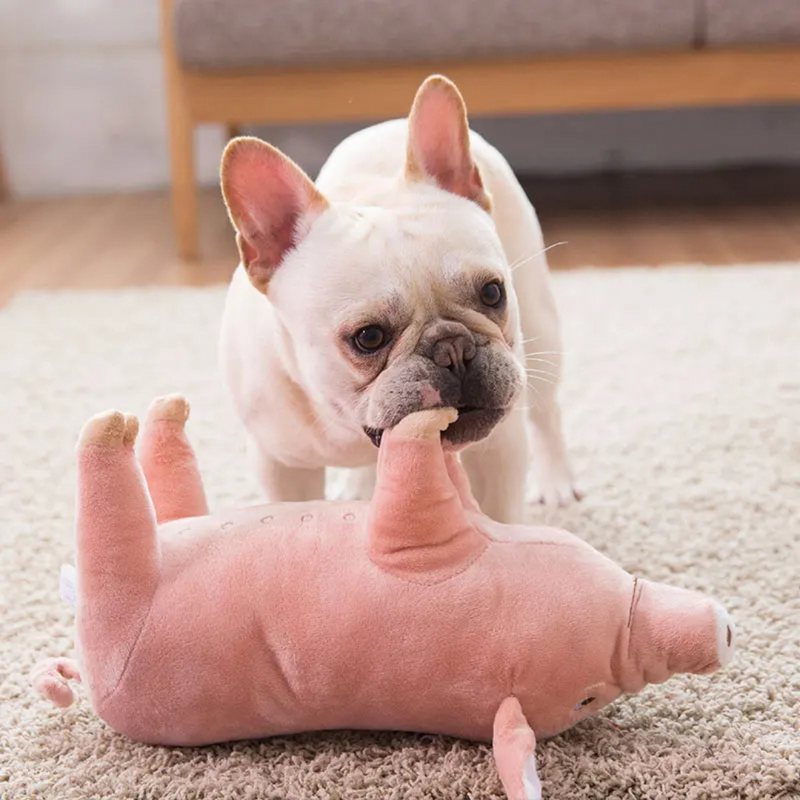 Brinquedo Porco Pelúcia Porquinho Realista para Cachorros