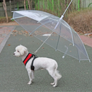 Coleira Guia Guarda Chuva Pet Invertido Transparente