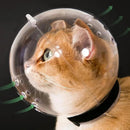 Capacete Protetor Transparente para Gatos | Anti Mordidas, Banho, Tosa e Corte de Unhas