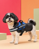Peitoral Para Cachorros Ajustável com Nome Personalizável