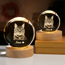 Luminária Cristal 3D Personalizada com Foto do Seu Pet – Recordação Eterna LED