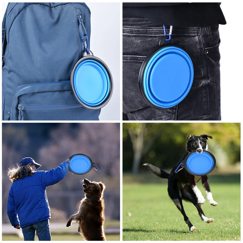 Comedouro Bebedouro Retrátil para Cães e Gatos