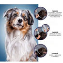 Coleira Colar Anti Parasitário Repelente de Pulgas e Carrapatos