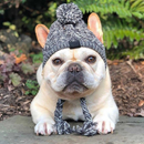 Gorro Chapéu Agasalho de Inverno Pet Capuz para Cachorros