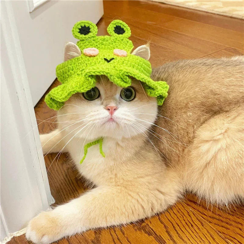 Chapéu Gorro Boina de Tricô para Gatos