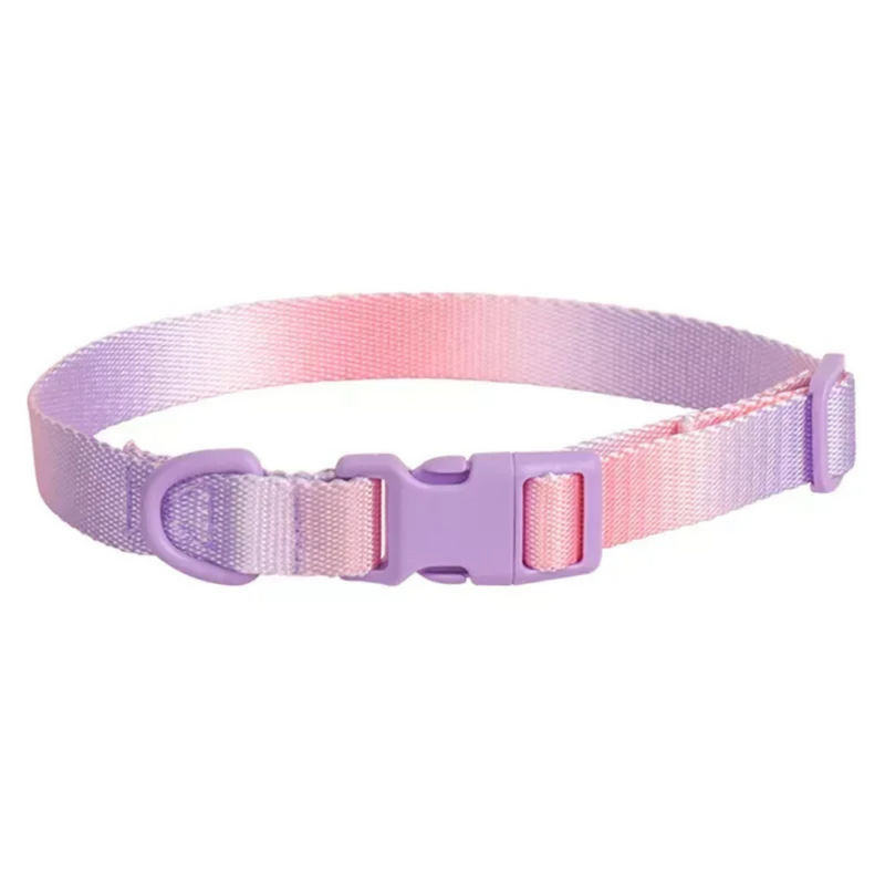 Coleira Colar Nylon Colorida para Cachorros