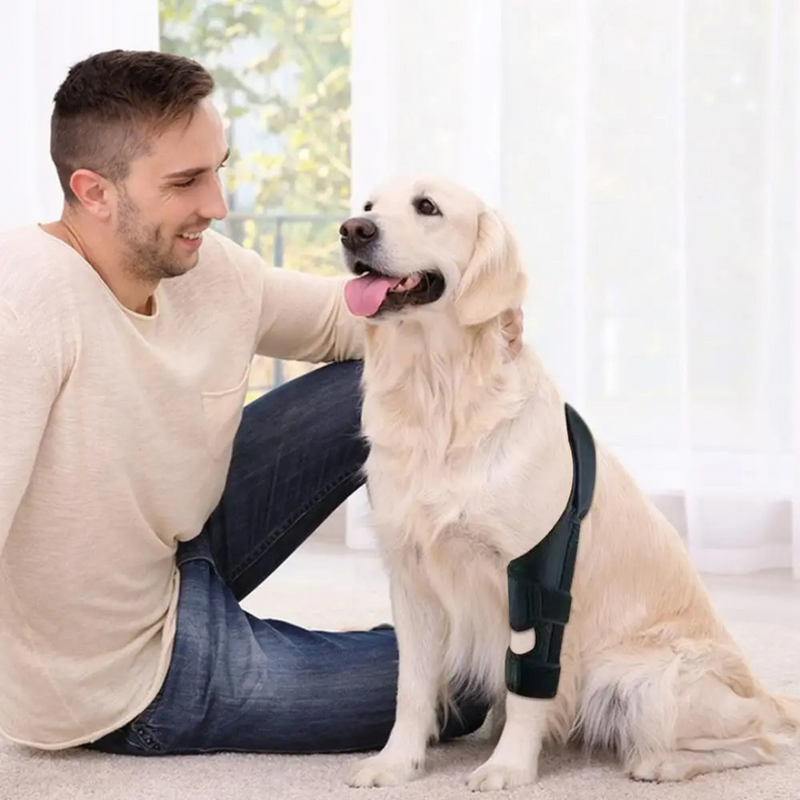 Joelheira Suporte Ortopédico para Cachorros com Lesões Dificuldade de Andar