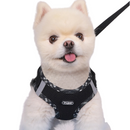 Coleira Peitoral Supet com Guia para Cachorros