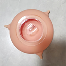 Mamadeira Tigela Alimentador com Bicos para Filhotes Gatos Cachorros