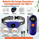 Coleira de Adestramento Canino com Controle Remoto 3 em 1 – Som, Vibração e Estímulo Ajustável, IP67 e Alcance de até 500 m