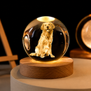Luminária Cristal 3D Personalizada com Foto do Pet – LED Base de Madeira