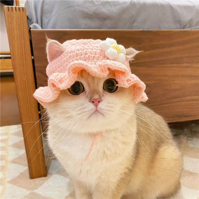 Chapéu Gorro Boina de Tricô para Gatos