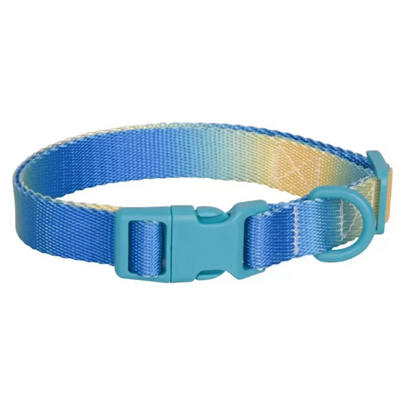 Coleira Colar Nylon Colorida para Cachorros