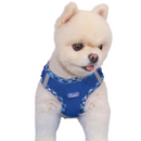 Coleira Peitoral Supet com Guia para Cachorros