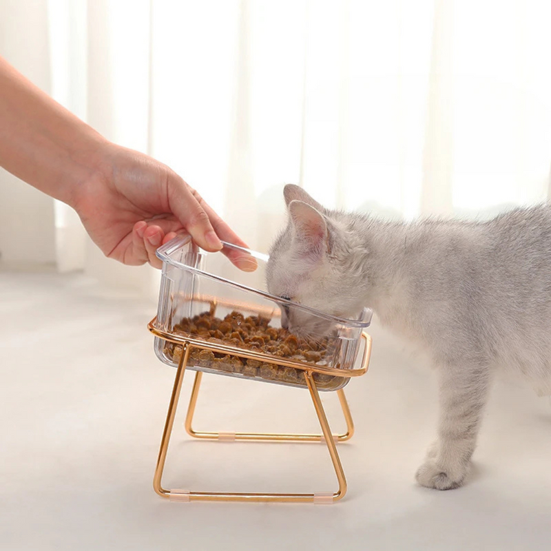 Conjunto Bebedouro e Comedouro de Acrílico para Cães e Gatos