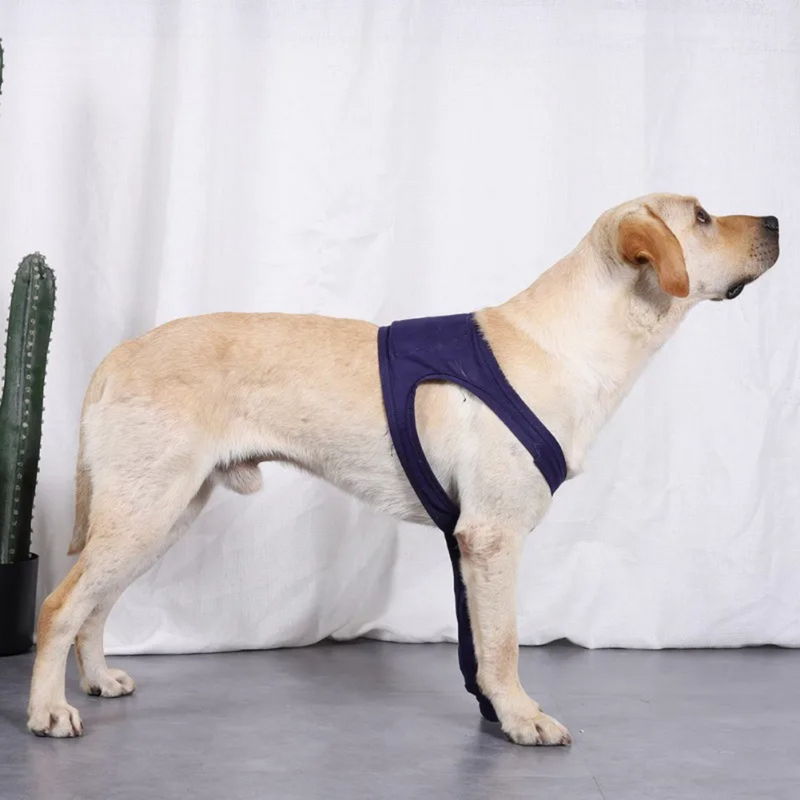 Cinta Suporte Ortopédico Patas Dianteiras para Recuperação de Cachorros