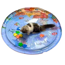 Piscina Tapete Inflável de Água Sensorial Resfriado para Cães e Gatos