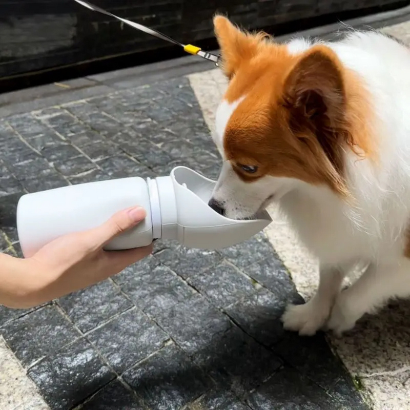 Garrafa Bebedouro Pet Portátil de Silicone Dobrável para Viagens e Passeios