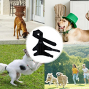 Joelheira Suporte Ortopédico para Cachorros com Lesões Dificuldade de Andar