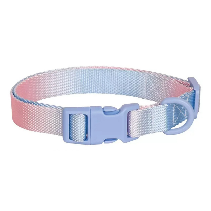 Coleira Colar Nylon Colorida para Cachorros