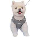 Coleira Peitoral Supet com Guia para Cachorros