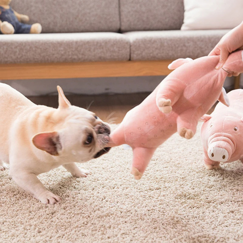 Brinquedo Porco Pelúcia Porquinho Realista para Cachorros
