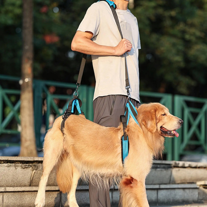 Arnês de Elevação Sling Suporte para Cachorros com Dificuldade de Andar ou Deficiência