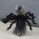 Fantasia Halloween de Aranha Divertida para Cachorros e Gatos