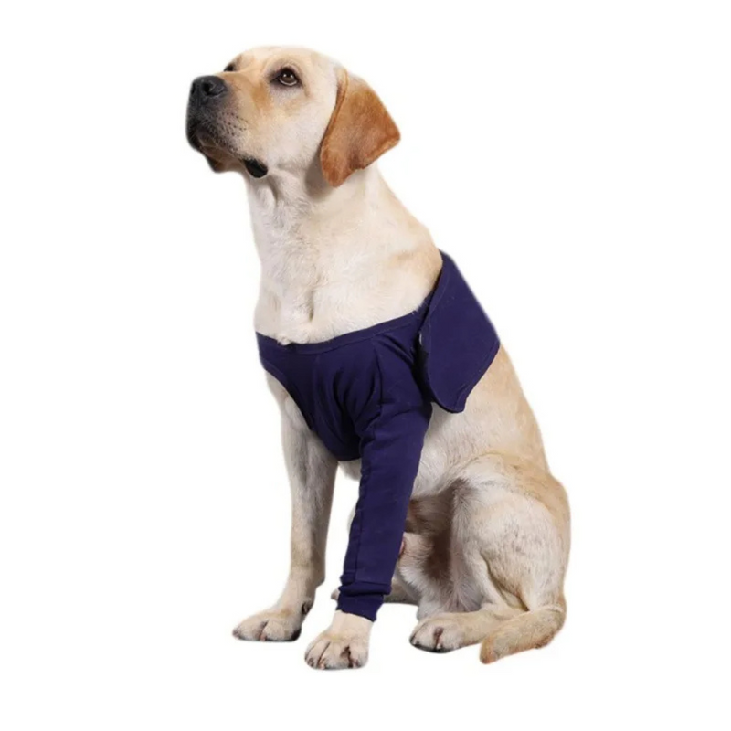 Cinta Suporte Ortopédico Patas Dianteiras para Recuperação de Cachorros