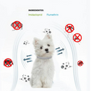 Coleira Colar Anti Parasitário Repelente de Pulgas e Carrapatos