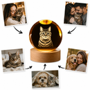 Luminária Cristal 3D Personalizada com Foto do Seu Pet – Recordação Eterna LED