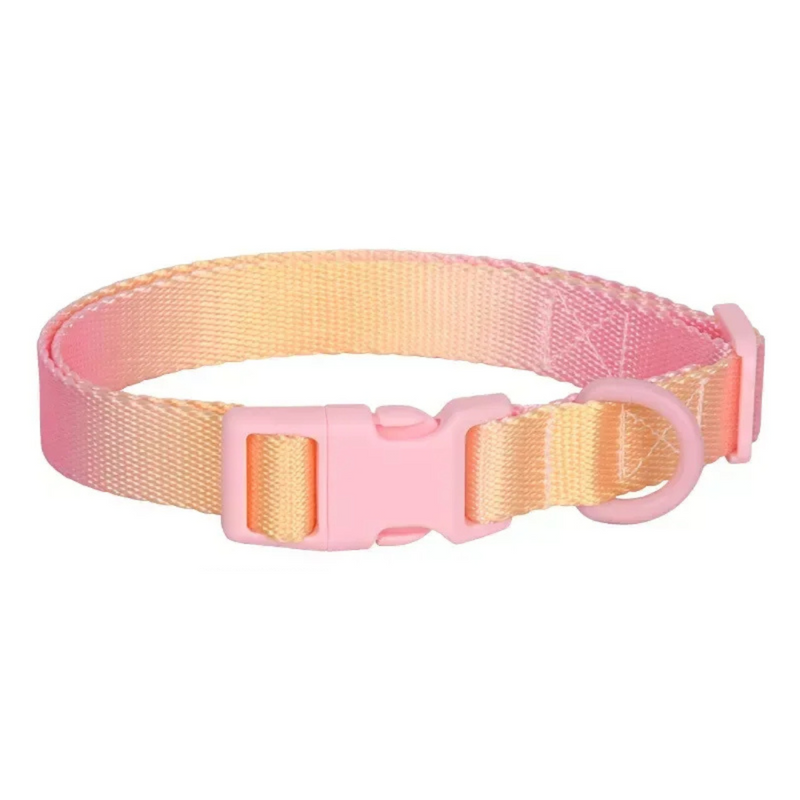 Coleira Colar Nylon Colorida para Cachorros