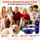 Coleira de Adestramento Canino com Controle Remoto 3 em 1 – Som, Vibração e Estímulo Ajustável, IP67 e Alcance de até 500 m