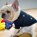 Roupinha Pet Gola Polo com Botões para Pug e Buldogue