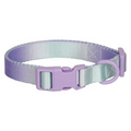 Coleira Colar Nylon Colorida para Cachorros