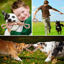 Brinquedo Corda Mordedor Resistente para Cachorros