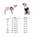 Cinta Suporte Ortopédico Patas Dianteiras para Recuperação de Cachorros