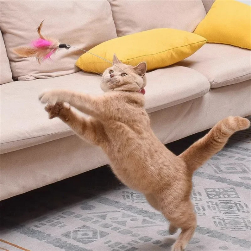 Brinquedo Colar Varinha com Pena para Gatos