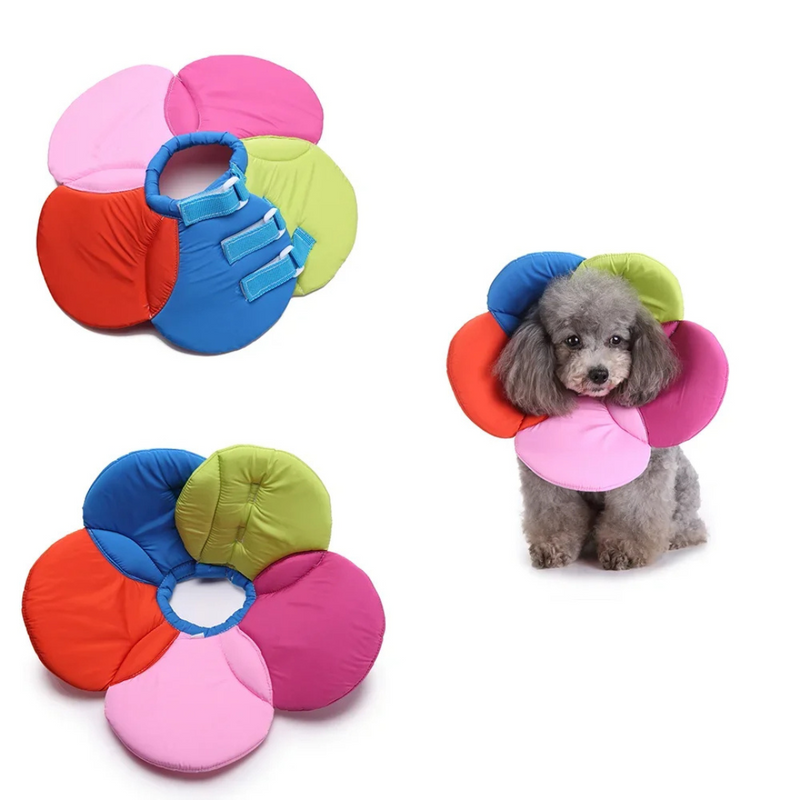 Colar Pós Cirúrgico Pet de Tecido