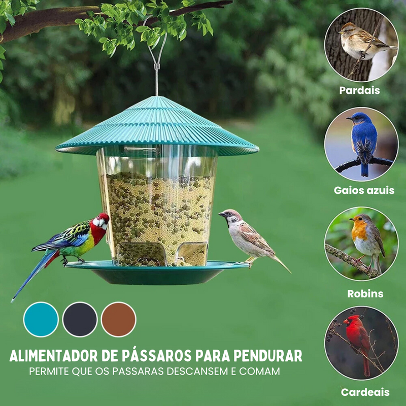 Comedouro de Passarinho Beija Flor para Jardim