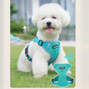 Coleira Peitoral Ajustável em 4 Pontos com Guia para Cachorros